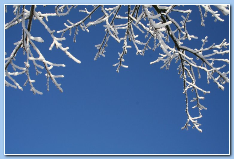 Arnhem Snow 189